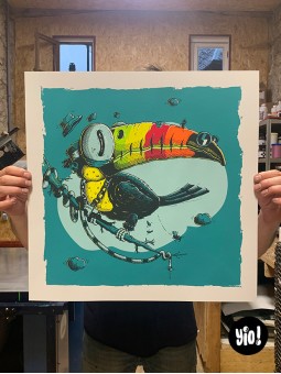 tirage d'art toucan - sérigraphie toucan - affiche sérigraphie - dessiné et sérigraphié en France