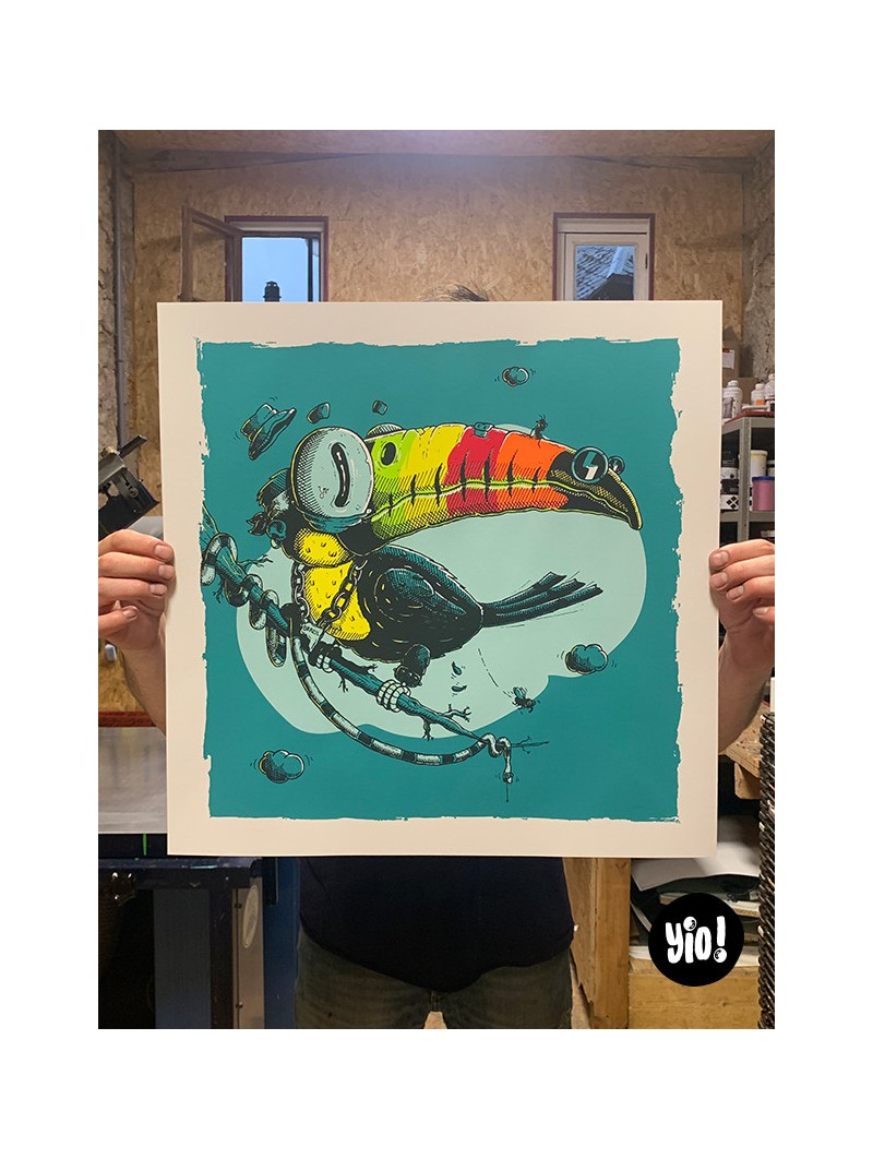 tirage d'art toucan - sérigraphie toucan - affiche sérigraphie - dessiné et sérigraphié en France