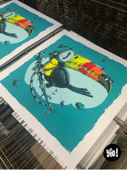 tirage d'art toucan - sérigraphie toucan - affiche sérigraphie - dessiné et sérigraphié en France